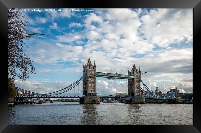  Tower Bridge,London Framed Print by Sue Knight