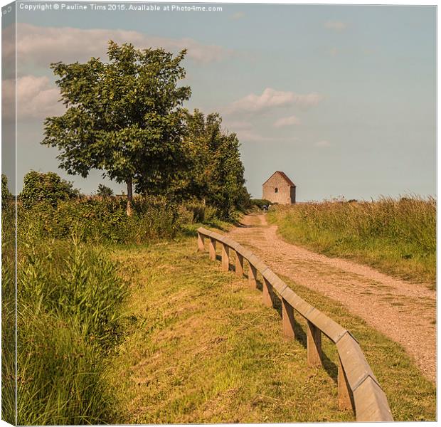 Roman Road to St Peters on the Wall, Bradwell on  Canvas Print by Pauline Tims