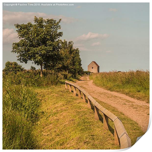  Roman Road to St Peters on the Wall, Bradwell on  Print by Pauline Tims