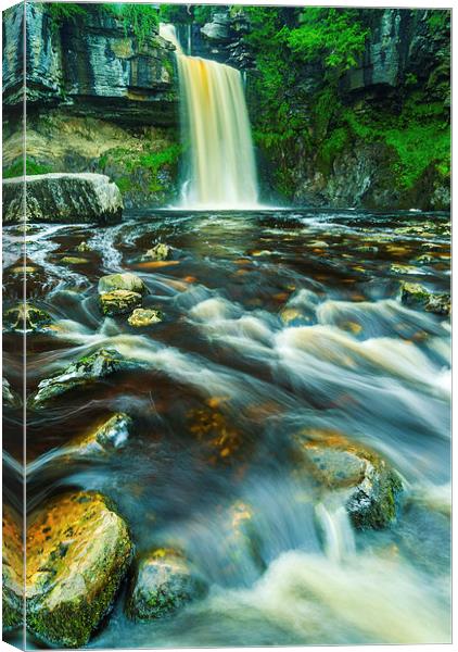 Thornton Force Waterfall, Ingleton, Yorkshire Dale Canvas Print by David Ross