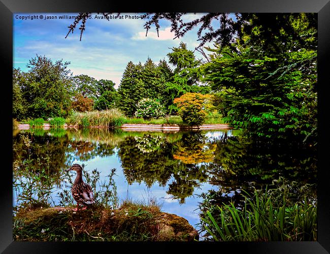 Lakeside reflections.  Framed Print by Jason Williams