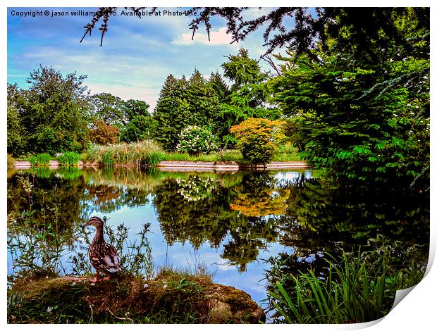  Lakeside reflections.  Print by Jason Williams