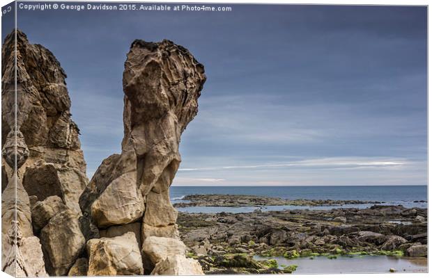 Bare Rock Face Canvas Print by George Davidson