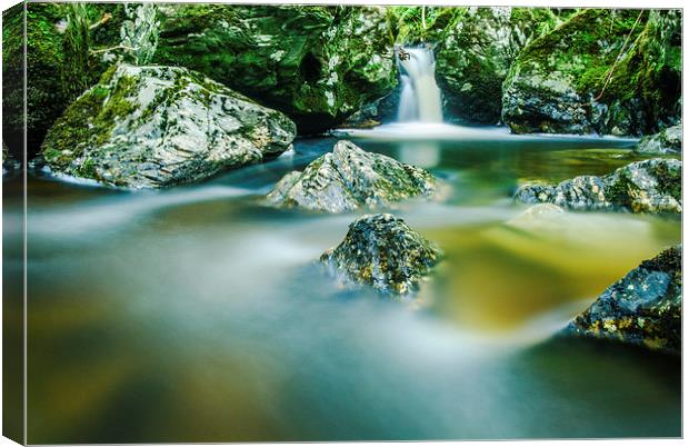 Wood of Cree waterfall, Dumfries and Galloway Canvas Print by David Ross