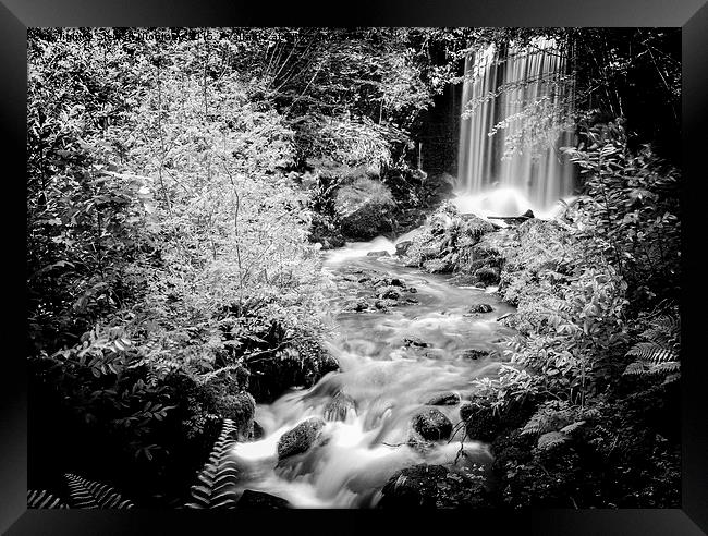 Beautiful Little Waterfall & Stream Framed Print by Stewart Nicolaou