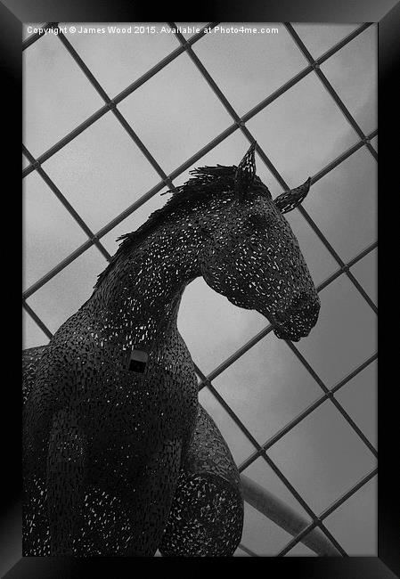  Equus Atlus Framed Print by James Wood