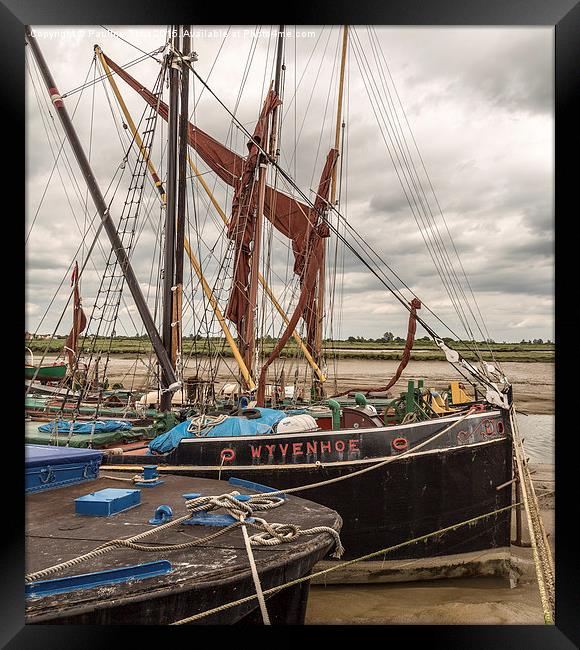  Wivenhoe Quayside, Essex, UK Framed Print by Pauline Tims