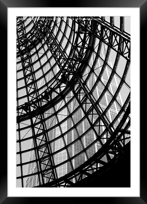  Through the Roof Framed Mounted Print by Pauline Tims