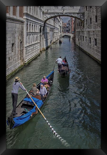  Gondola Ride in Venice Framed Print by Sarah Pymer