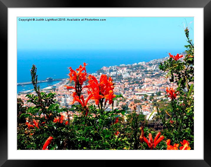  The Island of Flowers Madeira Framed Mounted Print by Judith Lightfoot