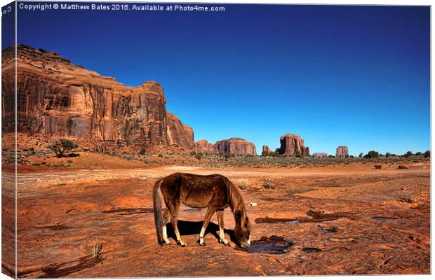 Monument Valley Horse Canvas Print by Matthew Bates