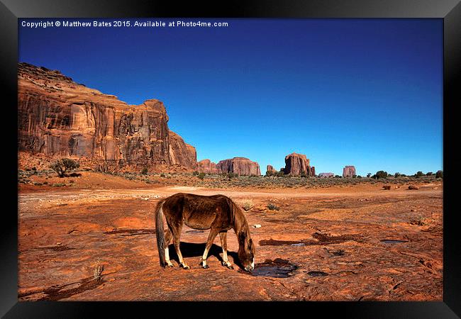 Monument Valley Horse Framed Print by Matthew Bates