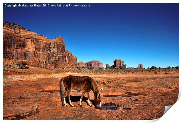 Monument Valley Horse Print by Matthew Bates