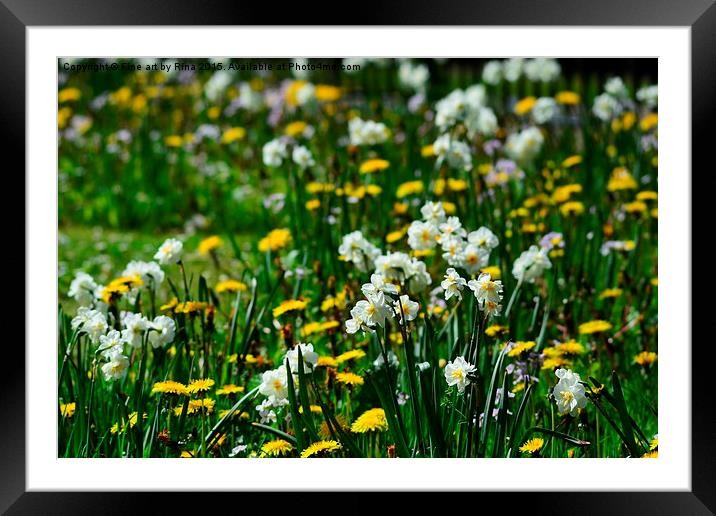  Bees Delight Framed Mounted Print by Fine art by Rina