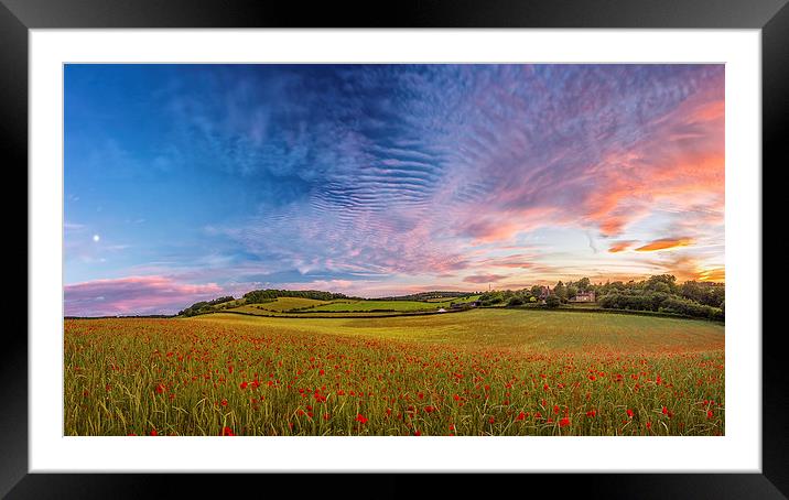 Dramatic Sunset on a Poppy Field in Kent Framed Mounted Print by John Ly