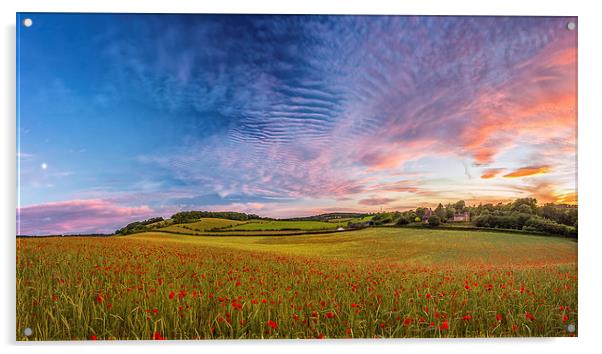 Dramatic Sunset on a Poppy Field in Kent Acrylic by John Ly