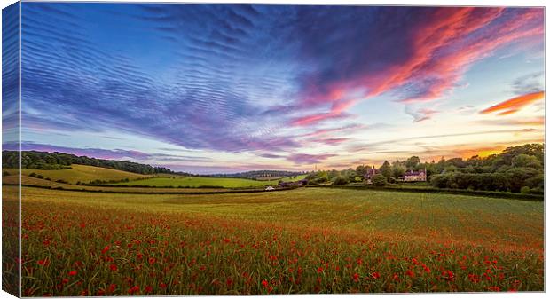  Sunset on Poppy Field in Kent Canvas Print by John Ly