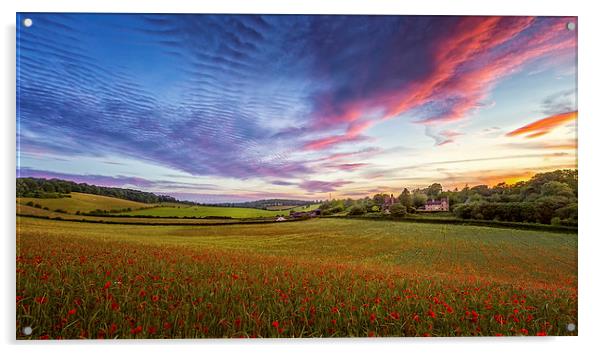  Sunset on Poppy Field in Kent Acrylic by John Ly