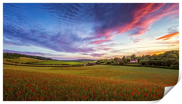 Sunset on Poppy Field in Kent Print by John Ly