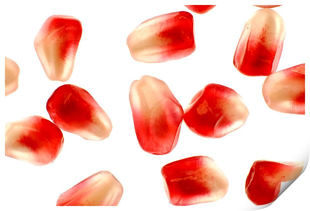  Pomegranate seeds Print by Augis Skackauskas