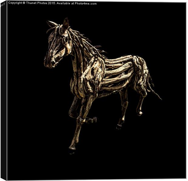  war horse Canvas Print by Thanet Photos