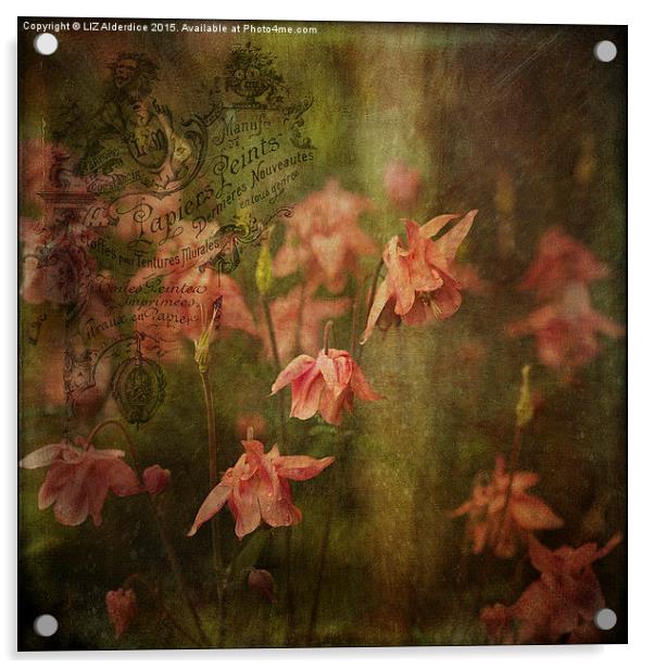  Vintage Floral Acrylic by LIZ Alderdice