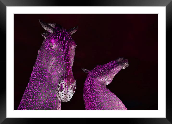 The Kelpies by Andy Scott - Falkirk, Scotland in P Framed Mounted Print by Ann McGrath
