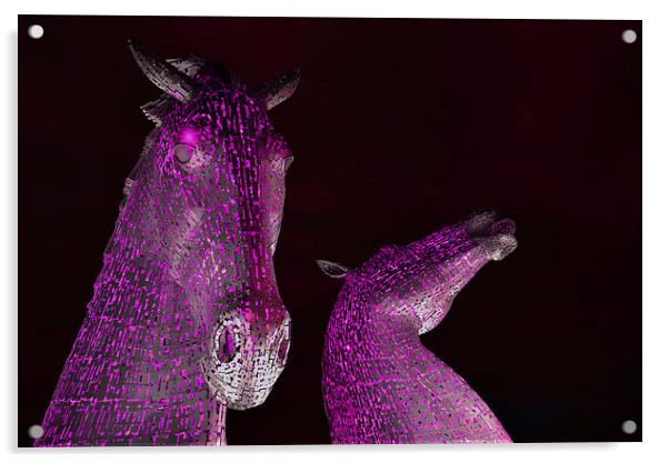 The Kelpies by Andy Scott - Falkirk, Scotland in P Acrylic by Ann McGrath