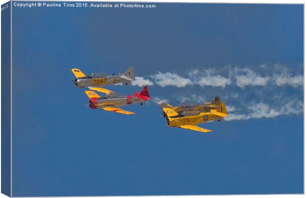 Harvards  Into the Blue Canvas Print by Pauline Tims