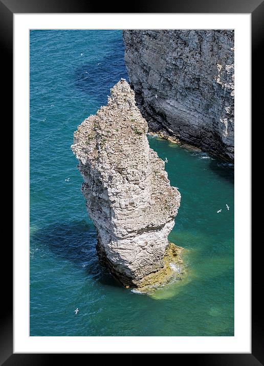  Stack at Flamborough Head Framed Mounted Print by Andy McGarry