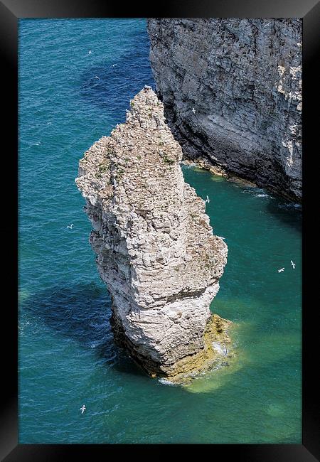  Stack at Flamborough Head Framed Print by Andy McGarry