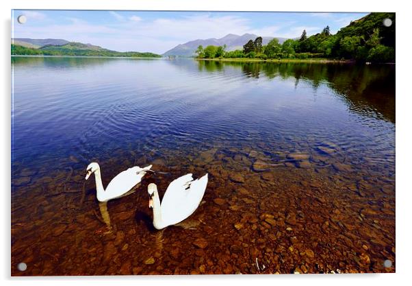 Swans on Derwent Water Acrylic by John Vaughan