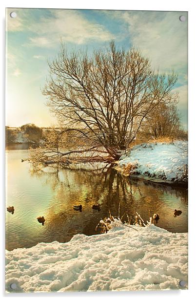 River Tees Acrylic by Jim kernan