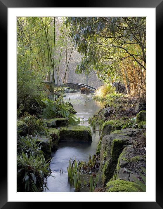 Winter Stream Framed Mounted Print by Mike Gorton