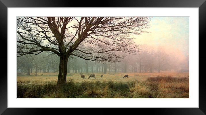  Green and Grey Framed Mounted Print by Chris Manfield