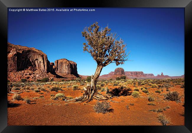  Monument Valley Tree Framed Print by Matthew Bates