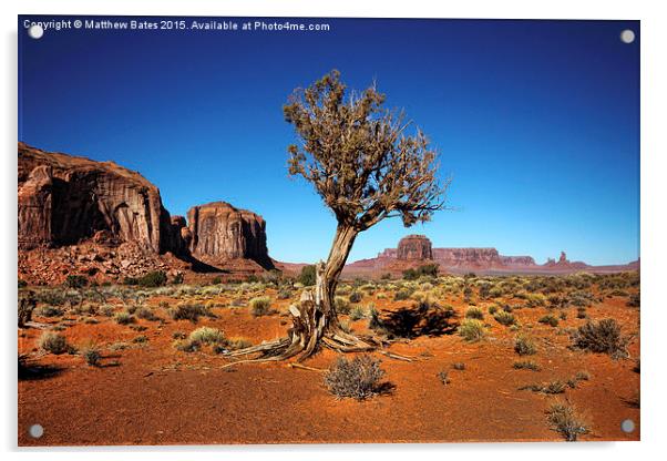  Monument Valley Tree Acrylic by Matthew Bates