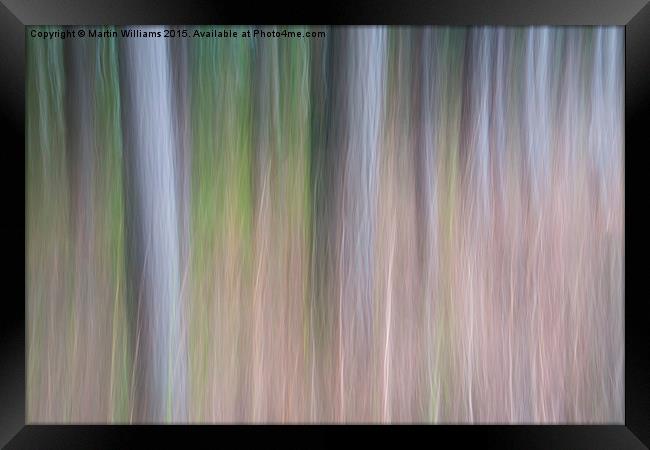 Forest Blur Framed Print by Martin Williams