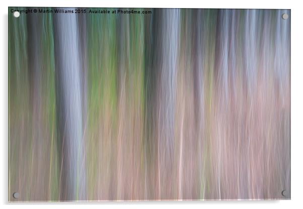 Forest Blur Acrylic by Martin Williams