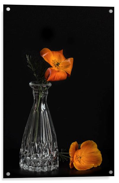  California poppy Acrylic by Eddie John