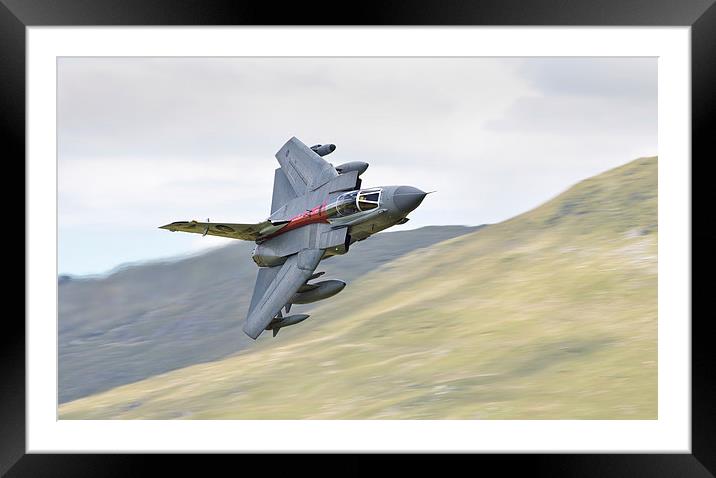  RAF Tornado - 40 Year Special Framed Mounted Print by Rory Trappe