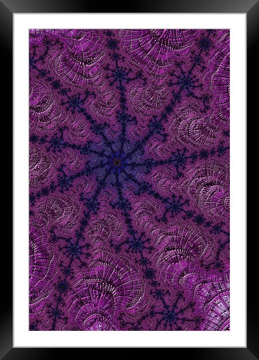 Purple Web Framed Mounted Print by Steve Purnell