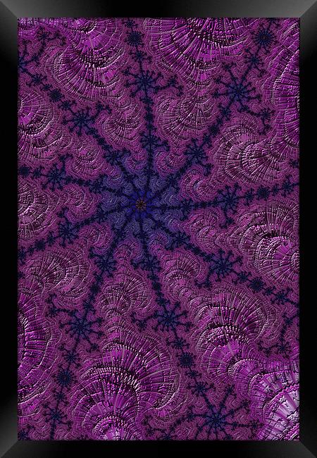 Purple Web Framed Print by Steve Purnell