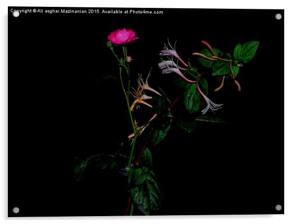  Jasmine and rose Acrylic by Ali asghar Mazinanian