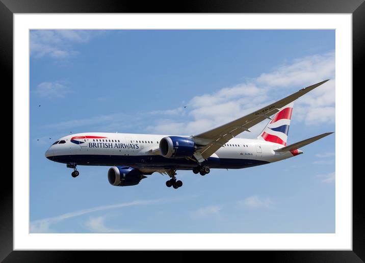 British Airways and Birds Framed Mounted Print by David Pyatt