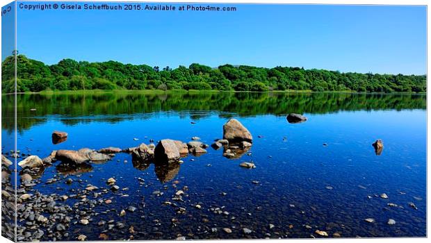  Bassenthwaite Lake in the morning Canvas Print by Gisela Scheffbuch