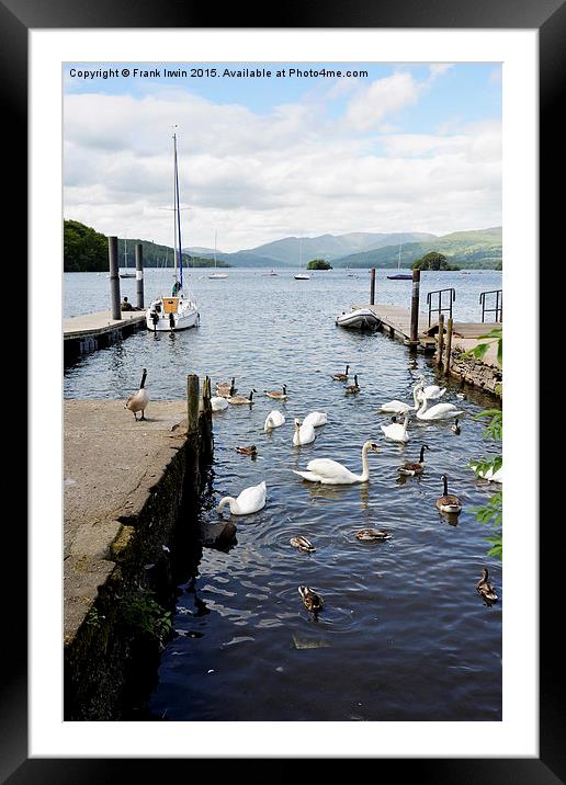  Mooring posts on Windermere Framed Mounted Print by Frank Irwin