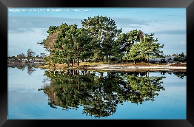  Hatchet Pond Framed Print by Sue Knight