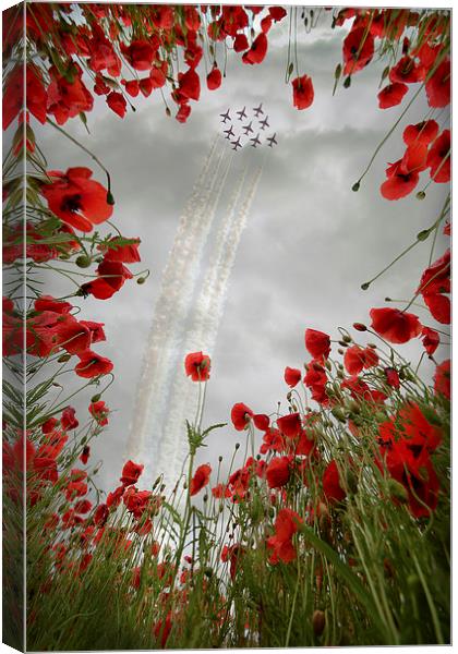 Red 9  Canvas Print by Jason Green