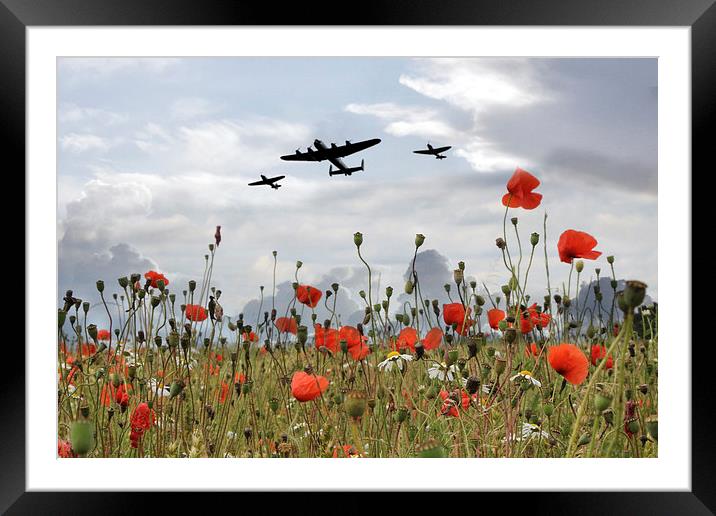 BBMF Over The Poppies Framed Mounted Print by J Biggadike